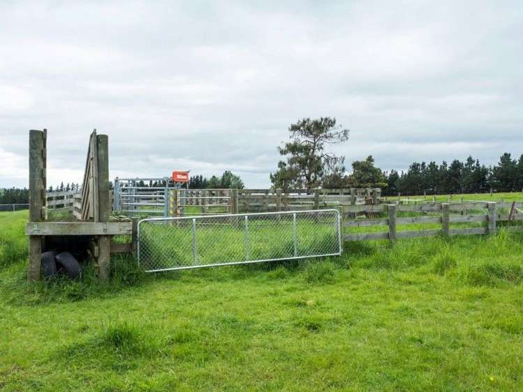 309 Ward Road St Andrews_9