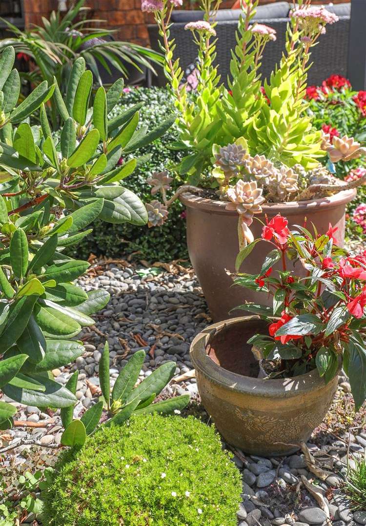 1 Merlot Place Te Kauwhata_33