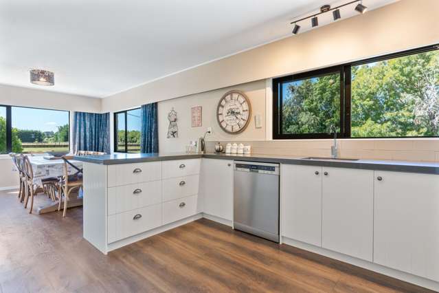 161 Upper Manaia Road Upper Plain_3