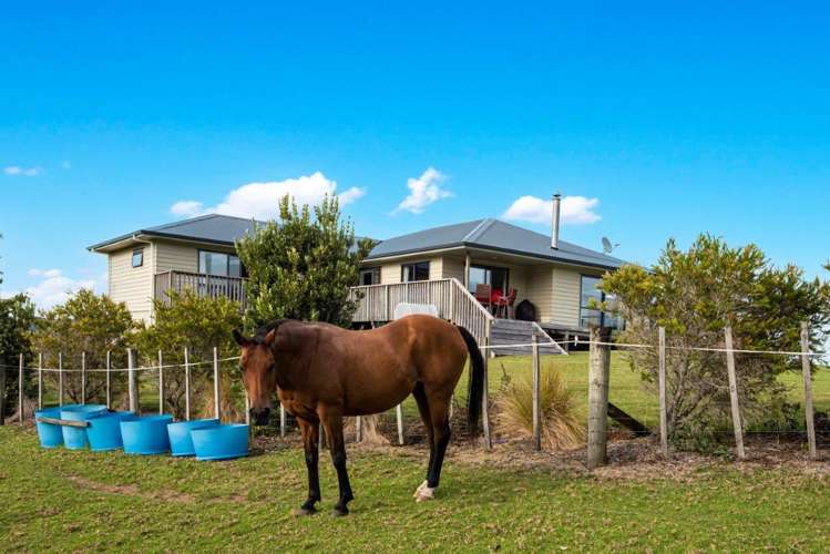 590 Ngunguru Ford Road Kiripaka_13