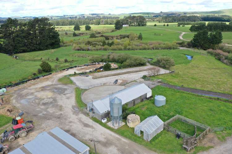 339 Mangaroa Road Eketahuna_12