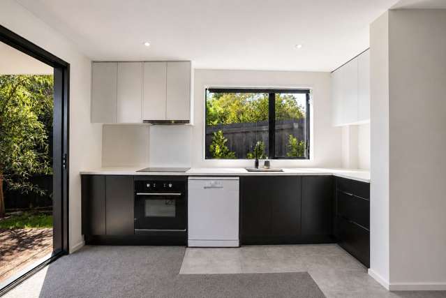 2/19E Court Crescent Panmure_1