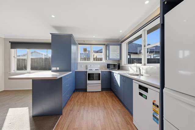 165A Bay View Road South Dunedin_1