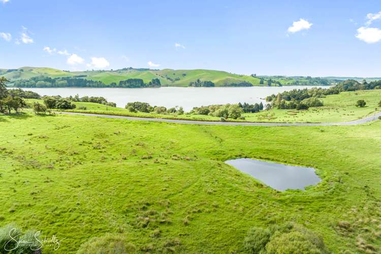 Pahi Road Paparoa_15