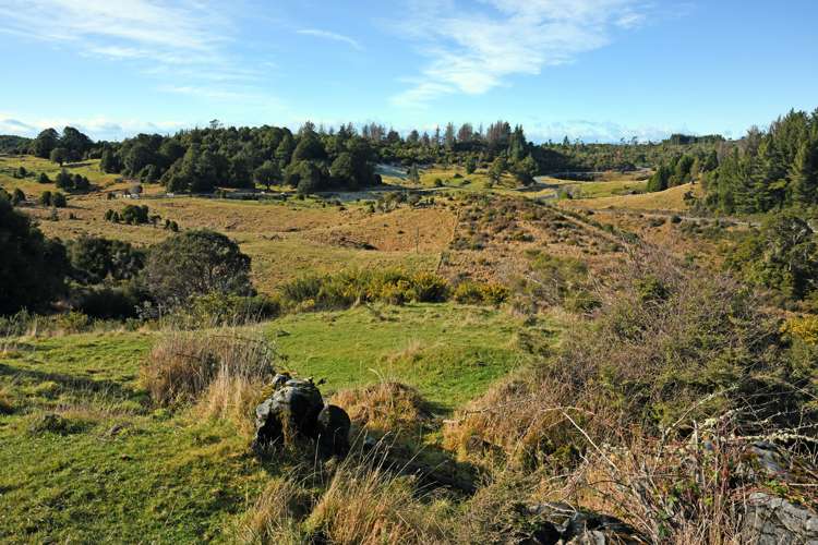 1356 Takaka Hill Highway Motueka Tasman Houses for Sale One Roof