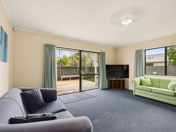 33 Ruahine Street Roslyn_2