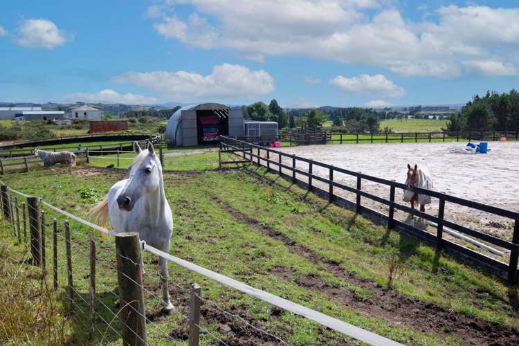 107 Native Road Pukekawa_27