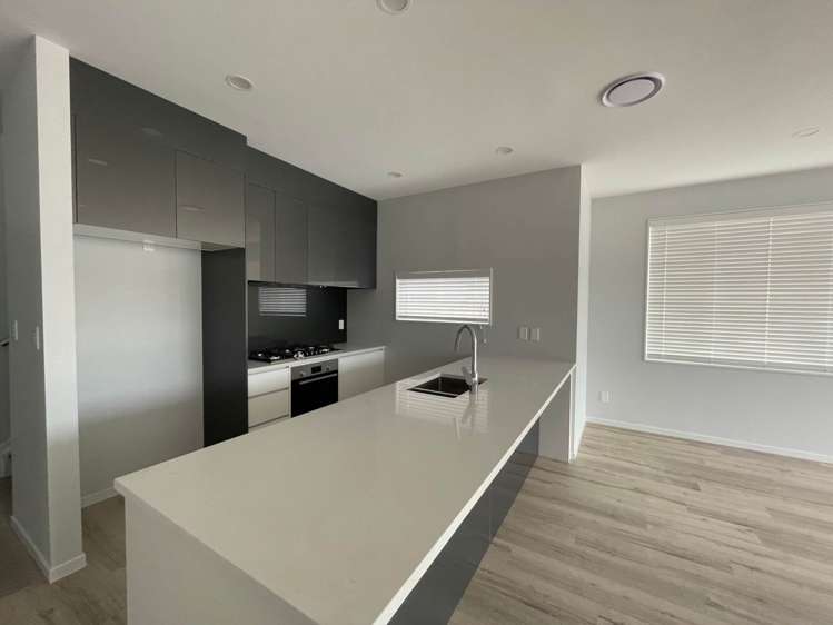 17 Madden Avenue_0