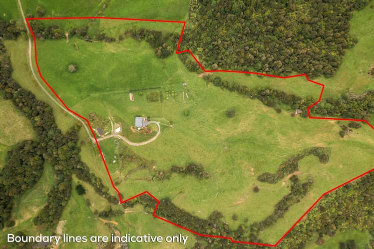 151 Kereru Lane Kaiwaka_19