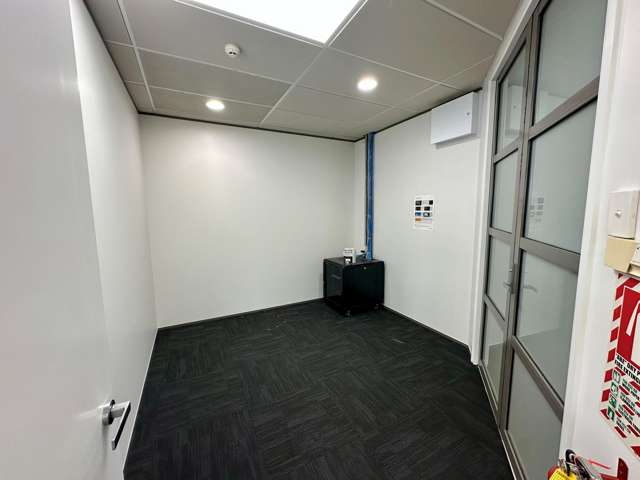 10 College Hill Freemans Bay_4