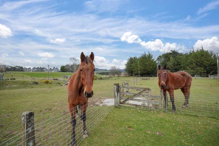 136 Fenham Road Otautau_20