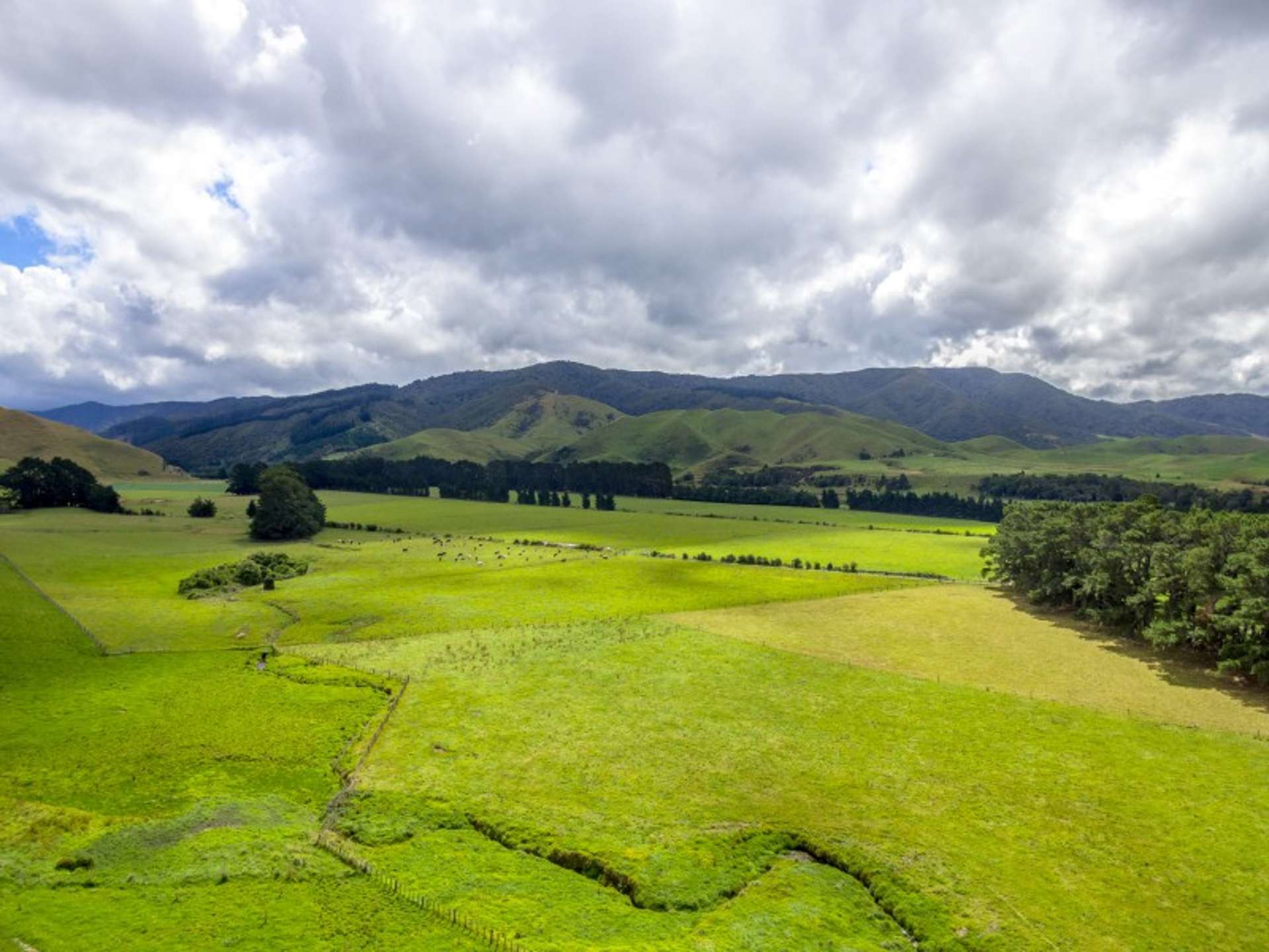 85274 State Highway 2 Eketahuna_0