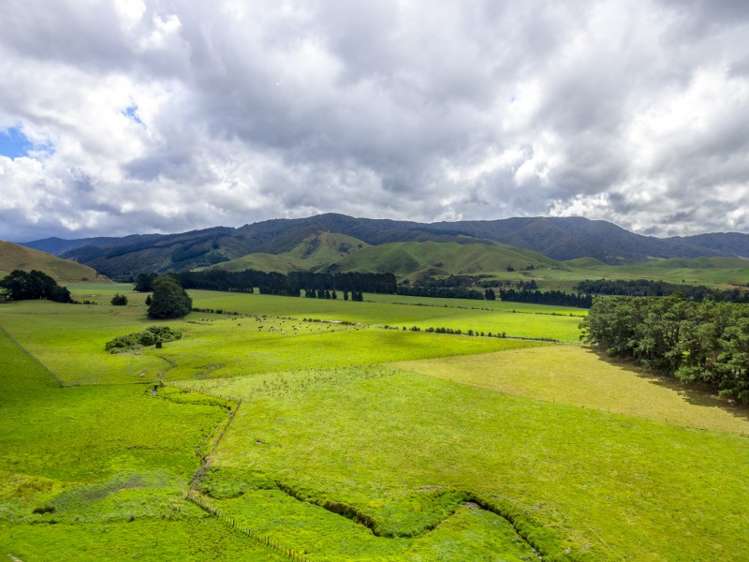 85274 State Highway 2 Eketahuna_0