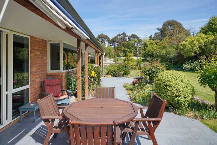 17 Dover Street Leithfield_16