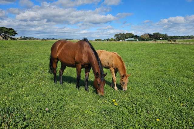 Escape to the country