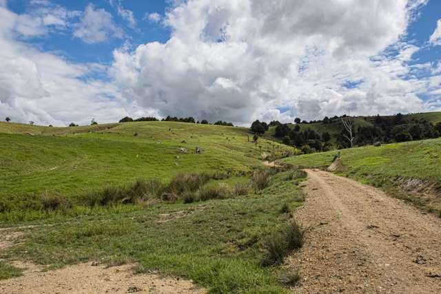 Mine Road Whakapara_2