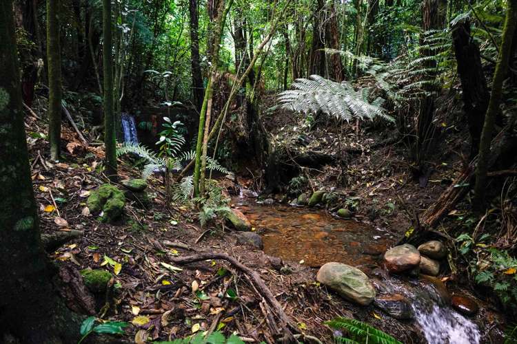 7 Stoney Brook Lane Kerikeri_27