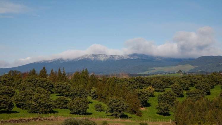 53d Woodland Road Hauraki Surrounds_10