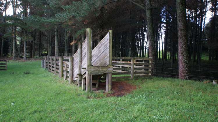 4501 State Highway 4 Waimiha-Ongarue_13