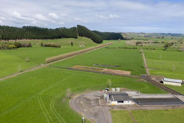 354 Kumuiti Road Fordell_4