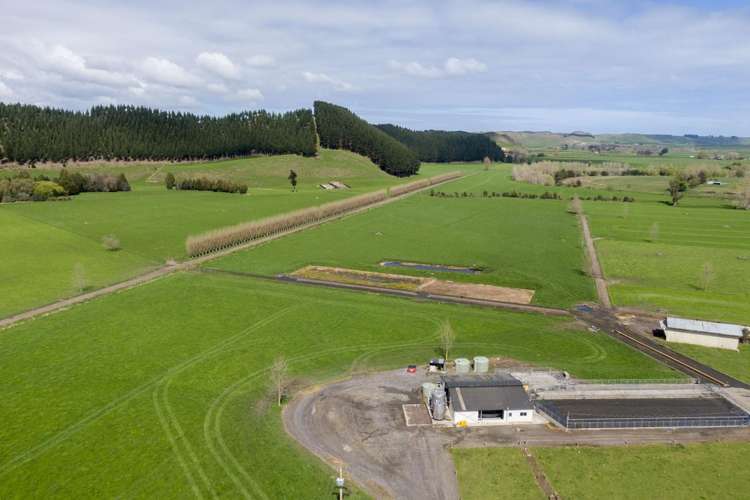 354 Kumuiti Road Fordell_4