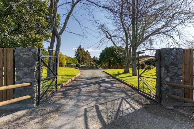 484 Esdaile Road Whakamarama_1