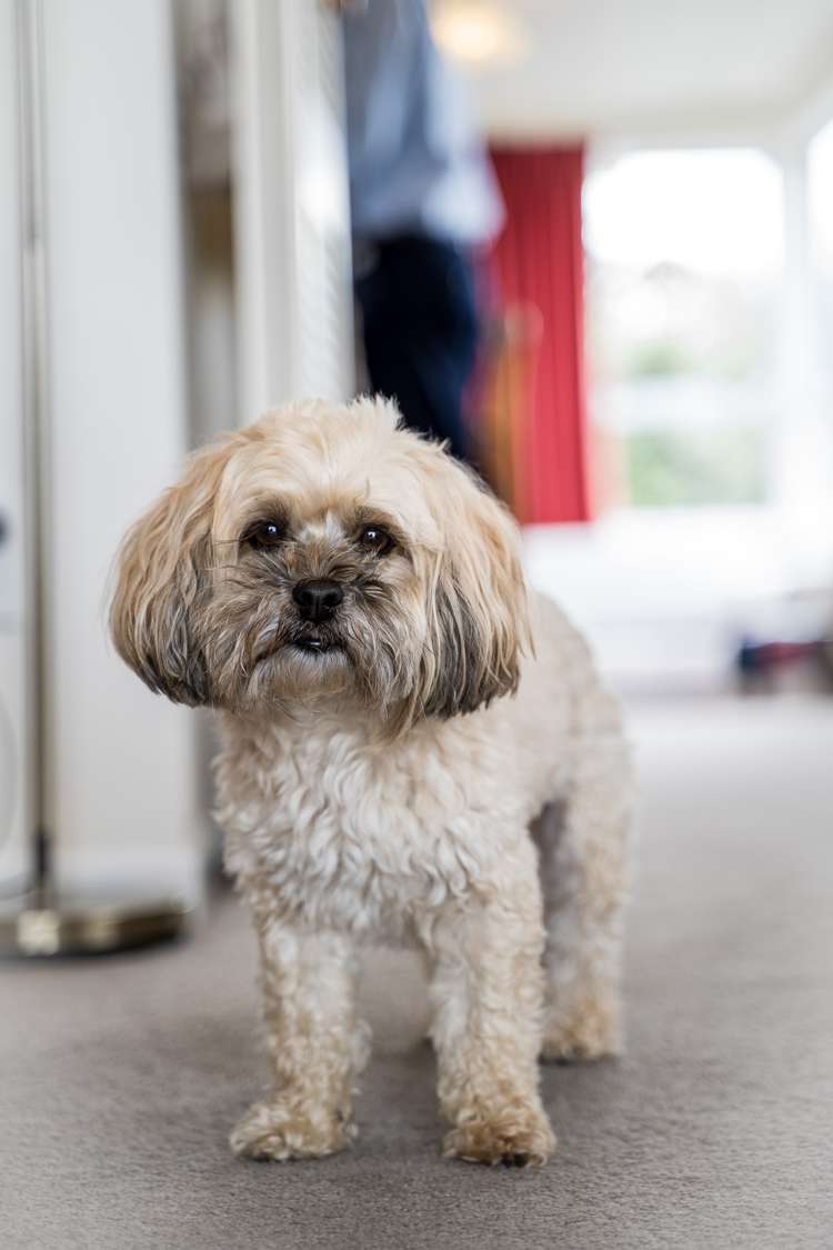 17 Johnsview Terrace Hillcrest_22