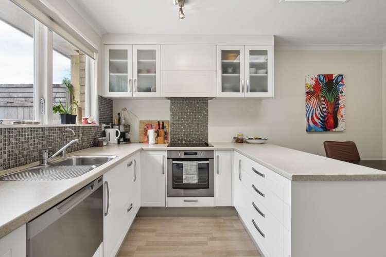 36 Seventeenth Avenue Tauranga South_6