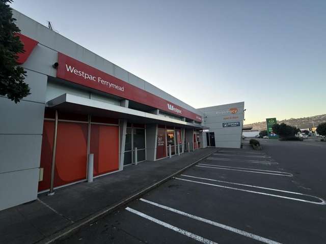 1005 Ferry Road Ferrymead_3