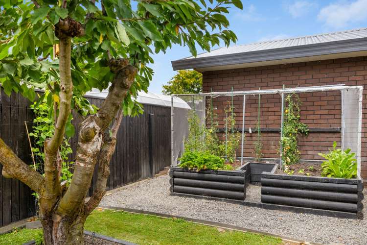 149a Muller Road Blenheim Central_26