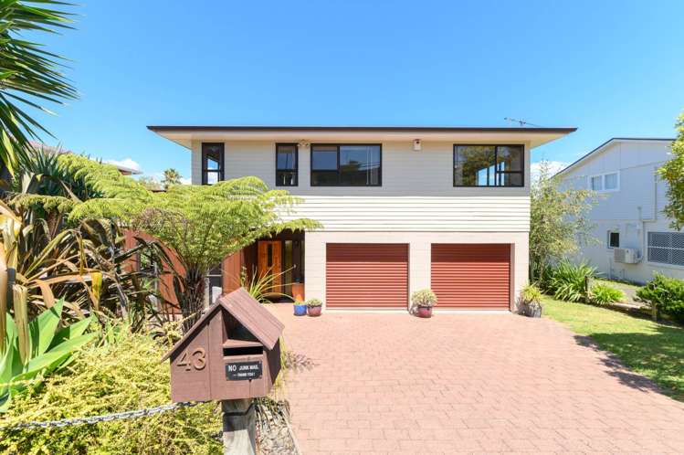 43 Tiverton Road Avondale_28