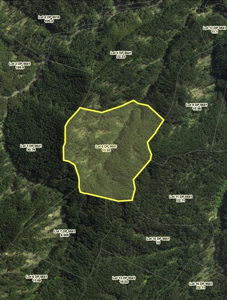 Lot 5 Shanks Road Waingake_2