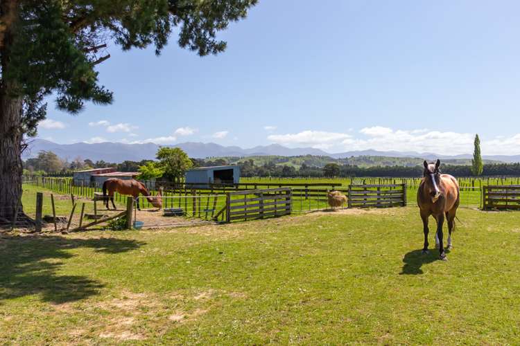 49 Budd Road Upper Plain_15