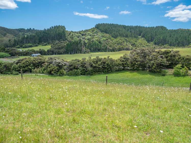 362 Sawyer Rd Mangonui_7