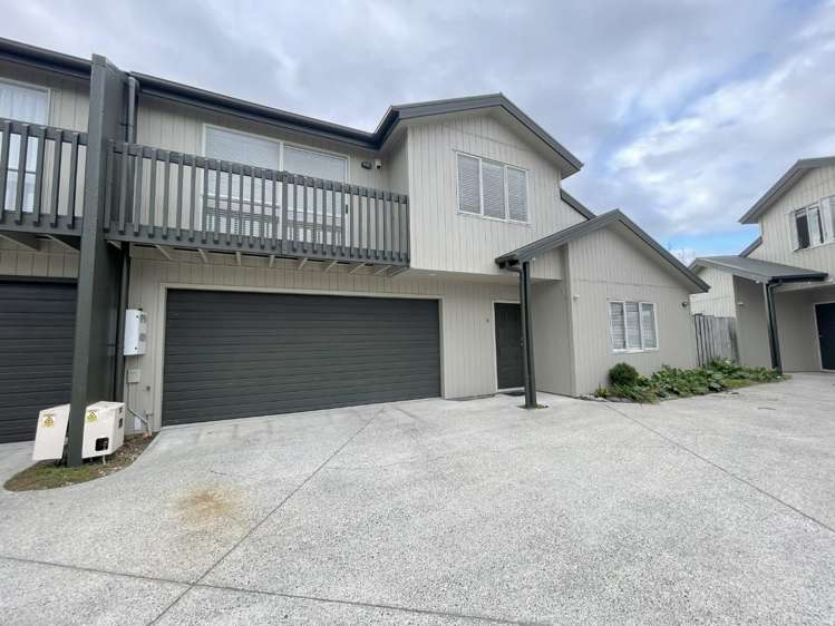 183b Massey Street Frankton_24