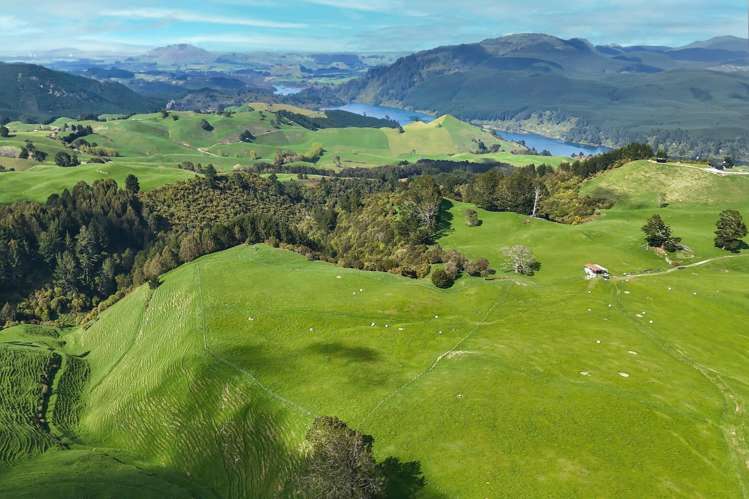 4/494 Dods Road Waikite Valley_10