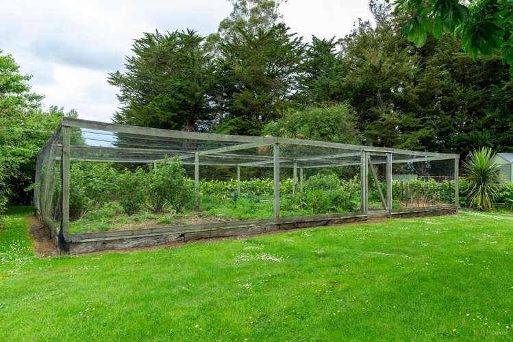 252 Downs Road Geraldine_34