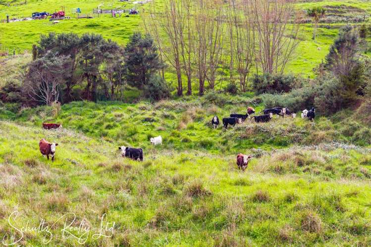 260 Mountain Road Maungaturoto_25