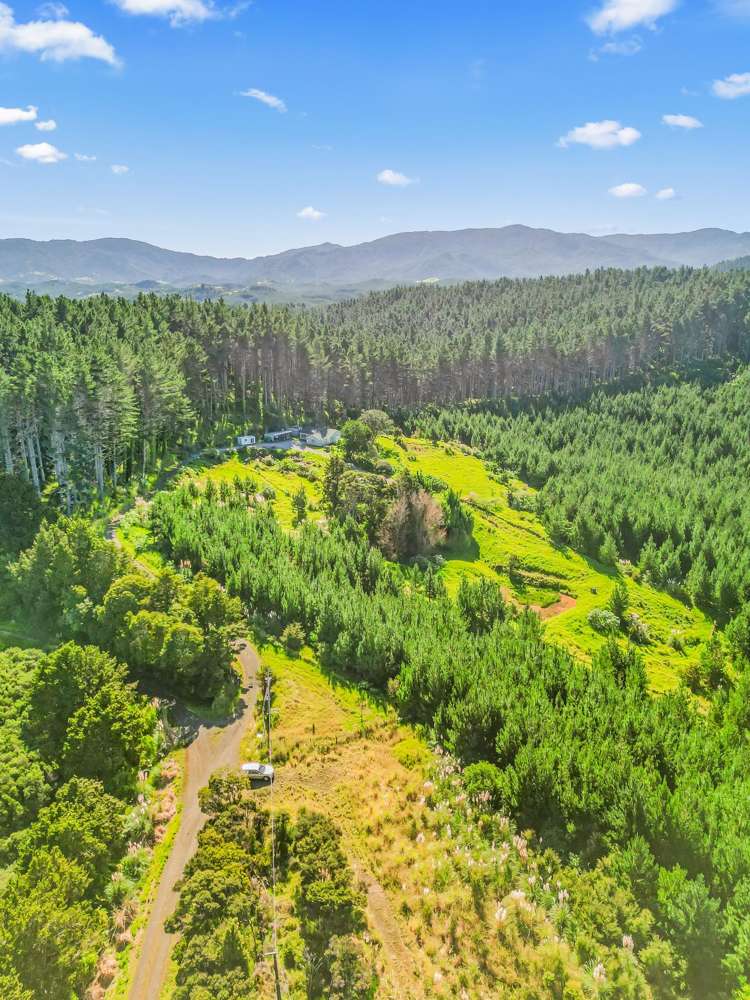 110 Whangape Track Road Broadwood_27