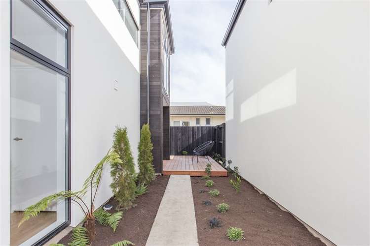 4/12 Southey Street Sydenham_14