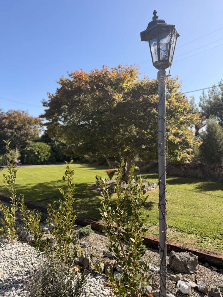 25 Cumnock Street Wallacetown_8