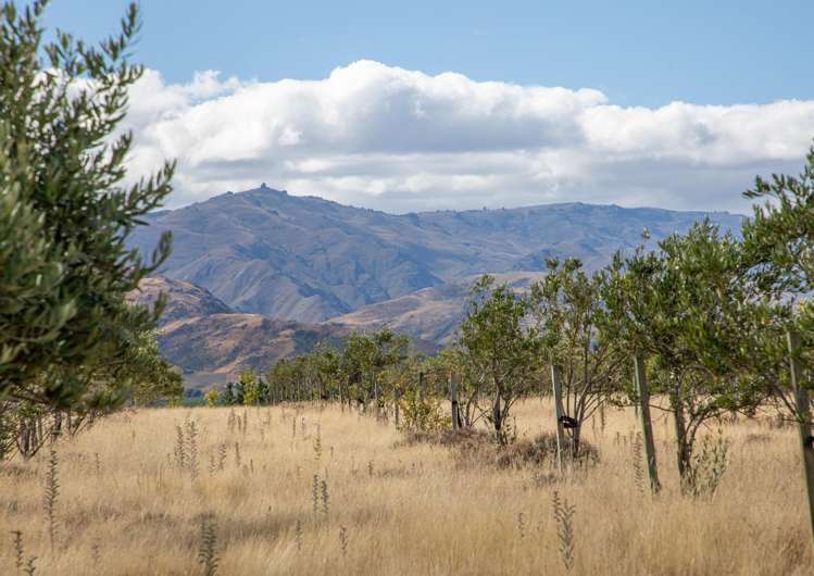 267 Springvale Road Alexandra_12