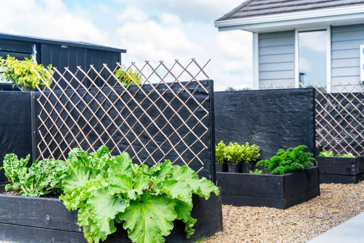 18 Woodleigh Lane Mangawhai_33