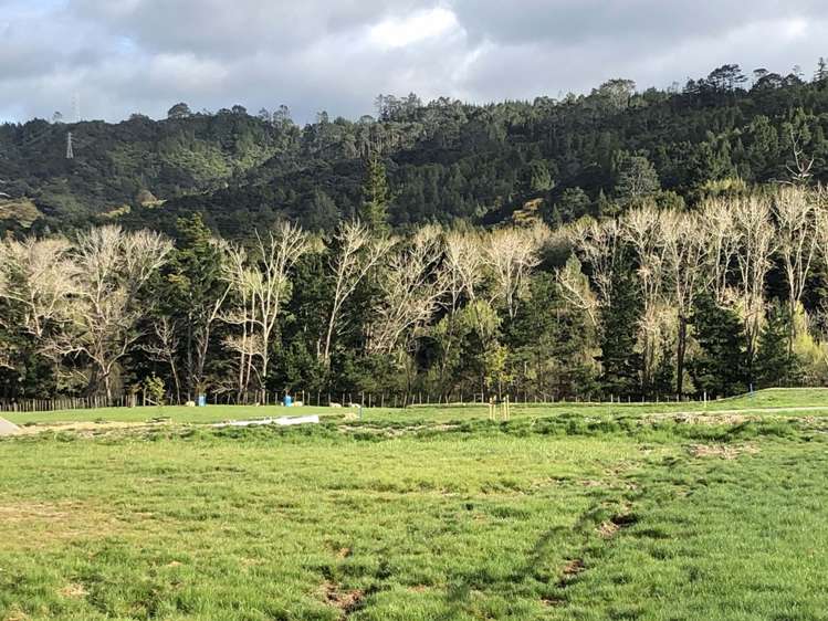 Oraha Road Kumeu_5