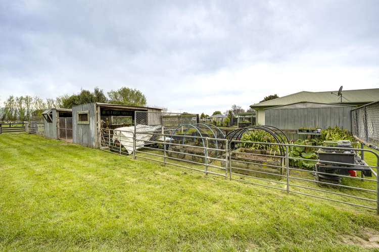 510 Wall Road Raureka_20