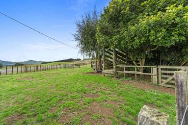 1173 Te Miro Road_4