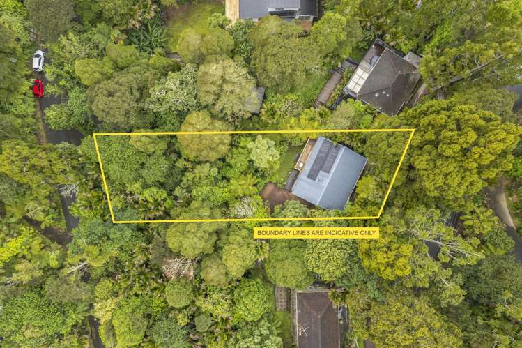 22 Paturoa Road Titirangi_21