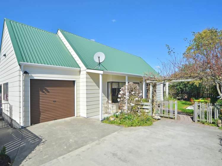 23b Cole Street Masterton_12