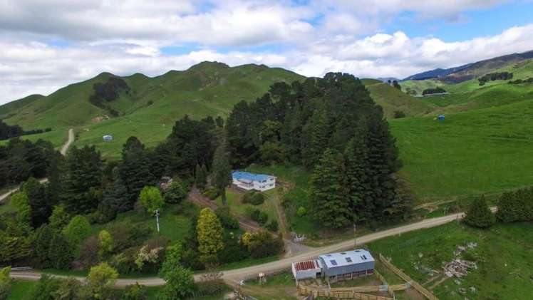 15 Hinerua Road Ongaonga_8