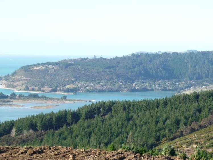 113 Wright Road Evansdale_10